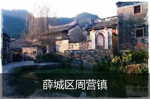 薛城区周营镇